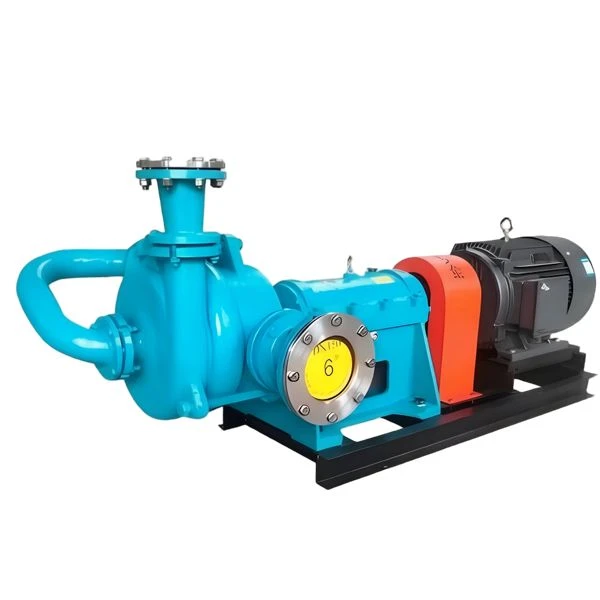 Pub Slurry Pump